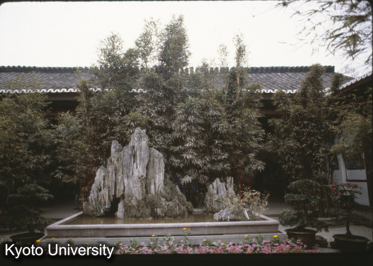 118-19_成都 望江公園 (1)