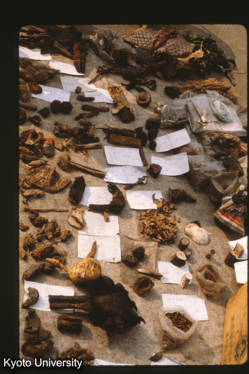 120-16_漢方薬売り 灌県 (1)