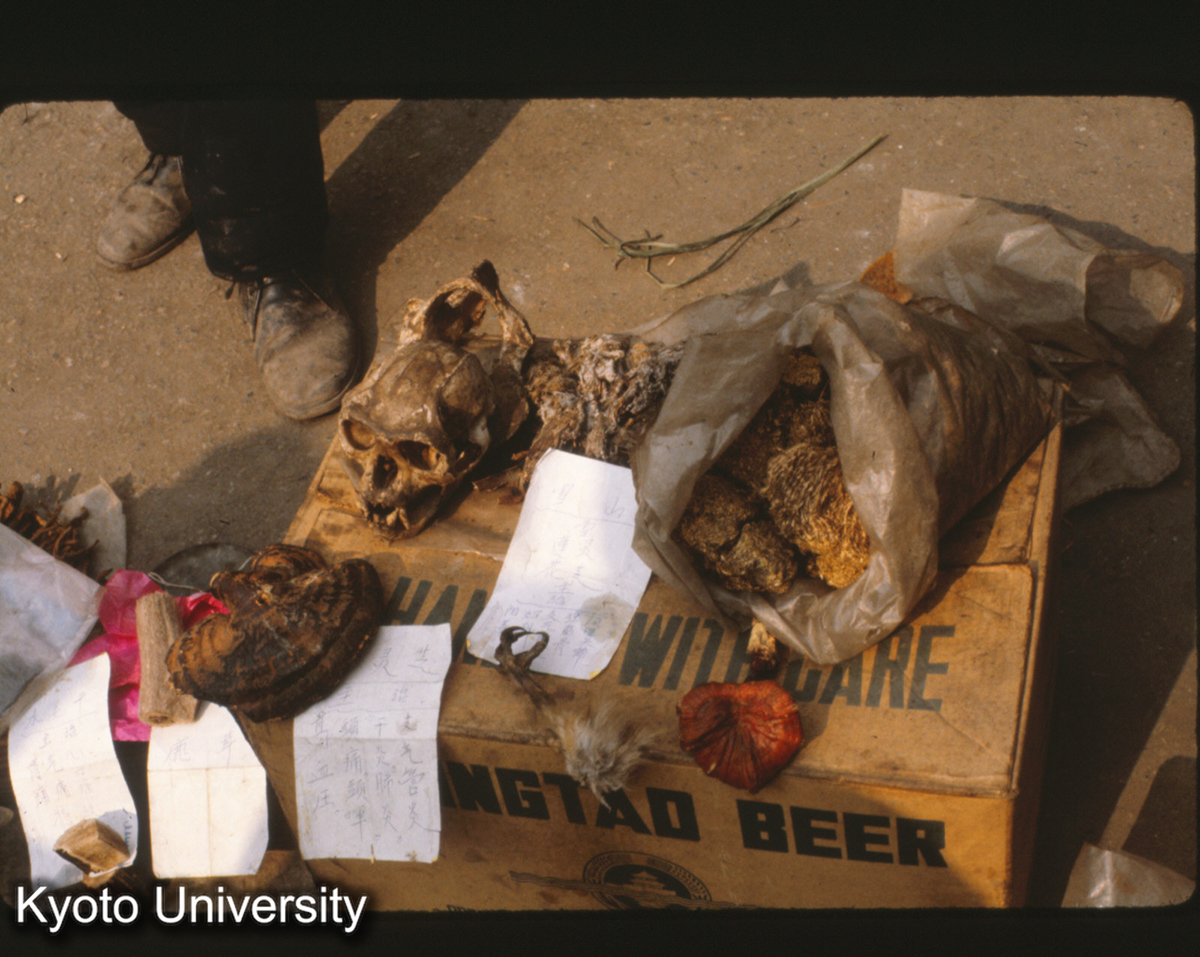 120-17_漢方薬売り 灌県 (1)