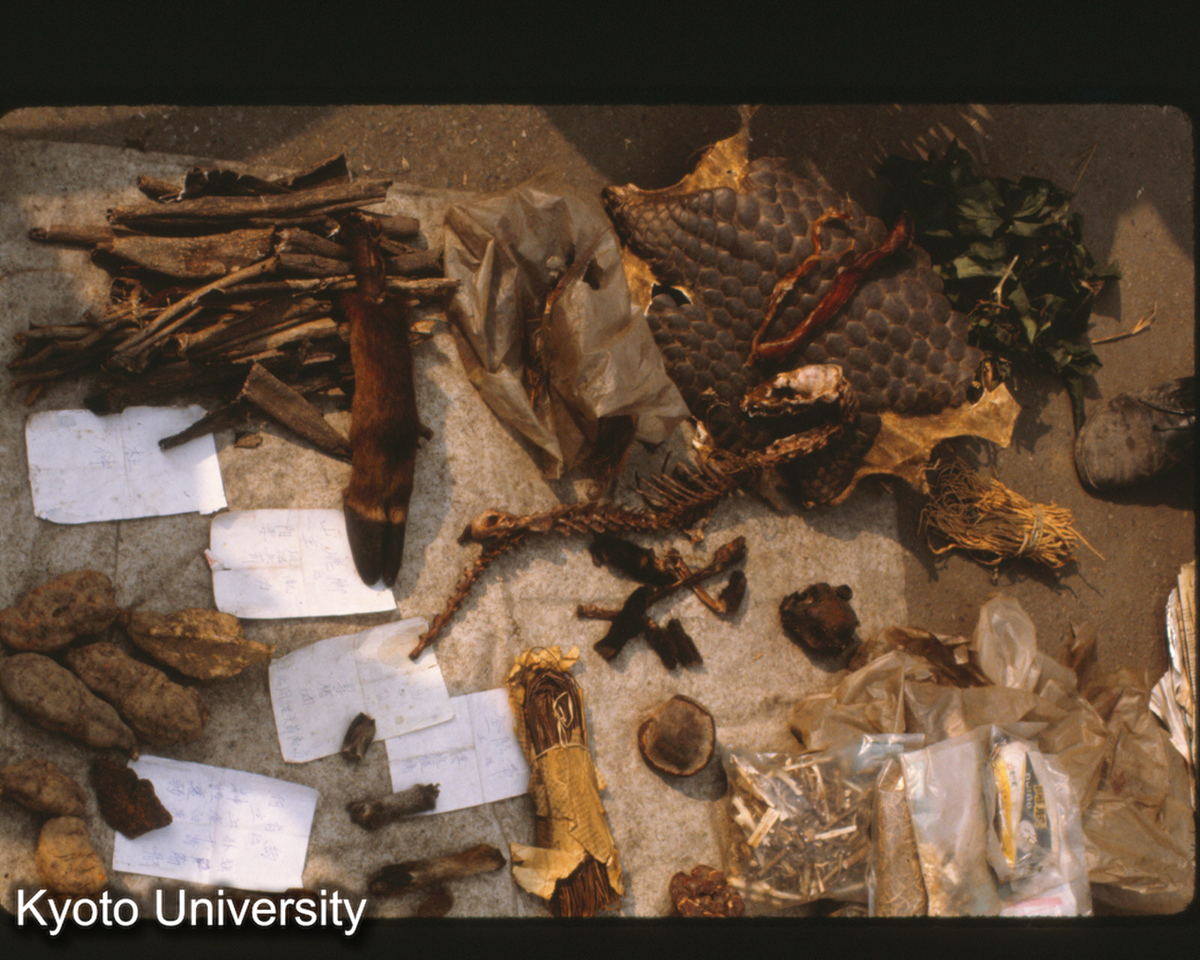 120-18_中薬売り 灌県 (1)