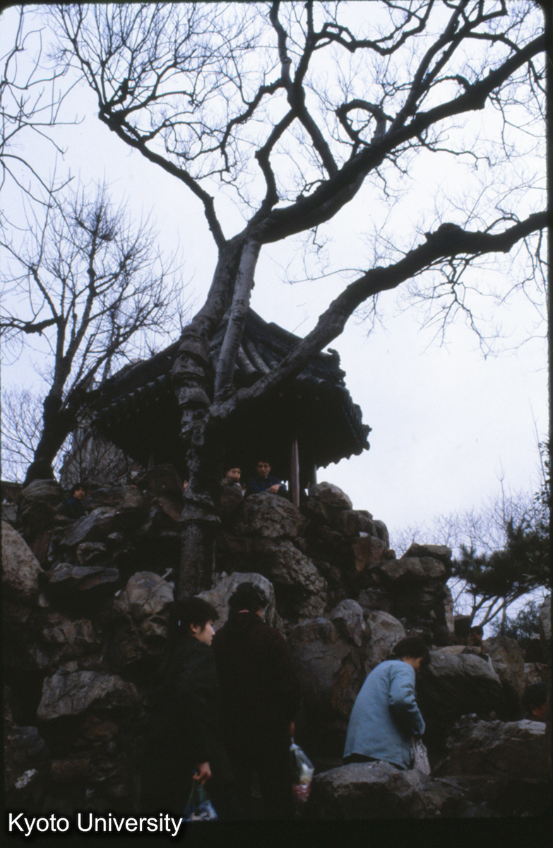 125-33_上海 予園 (1)