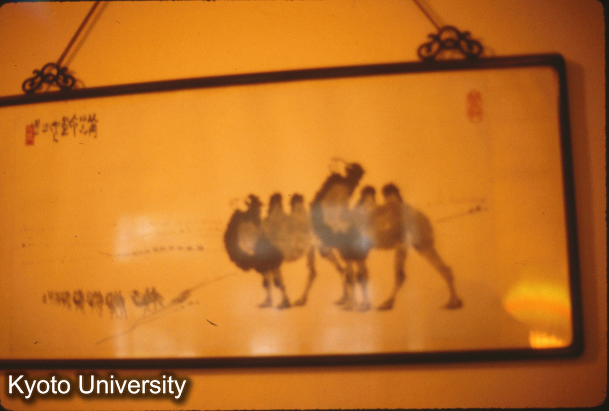 126-27_陳従周氏蔵 (1)