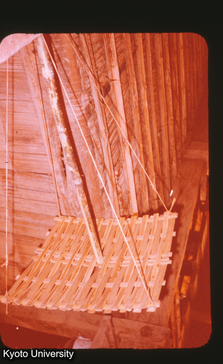 P303_景洪 タイ族民居 (1)