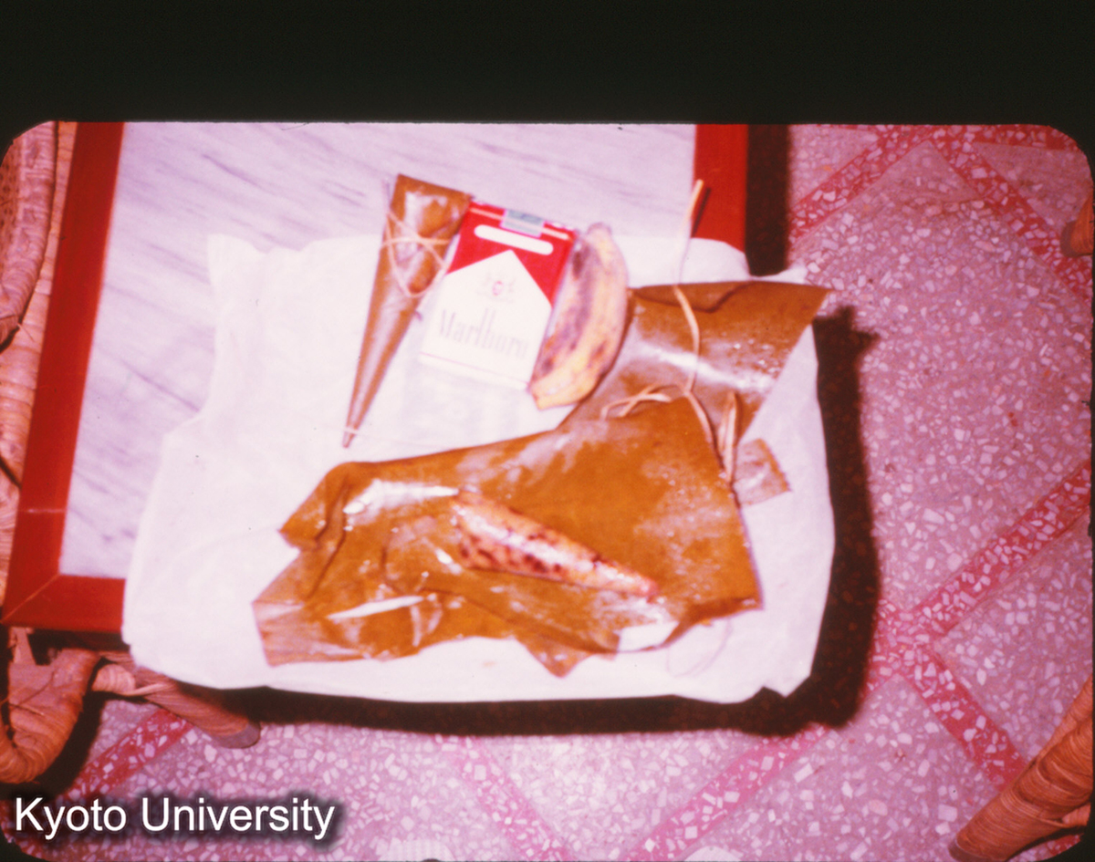 P337_粽（景洪で買った） (1)