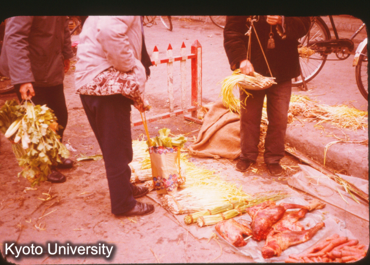 P347_にく、やさい 成都 (1)