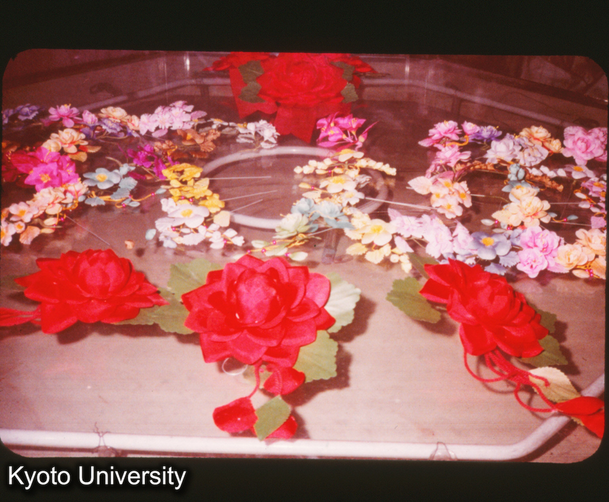 P24_揚州 王氏別墅 現工場 造花 (1)