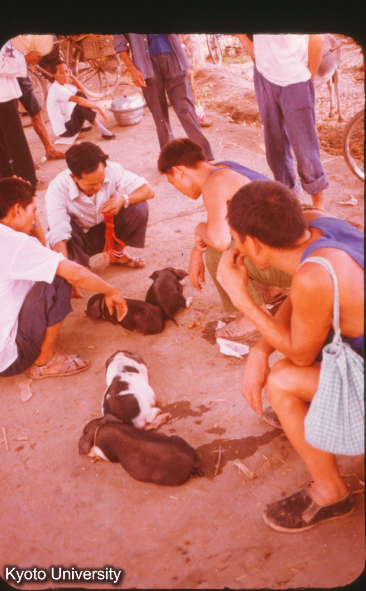 P131_洛陽 廟会 (1)