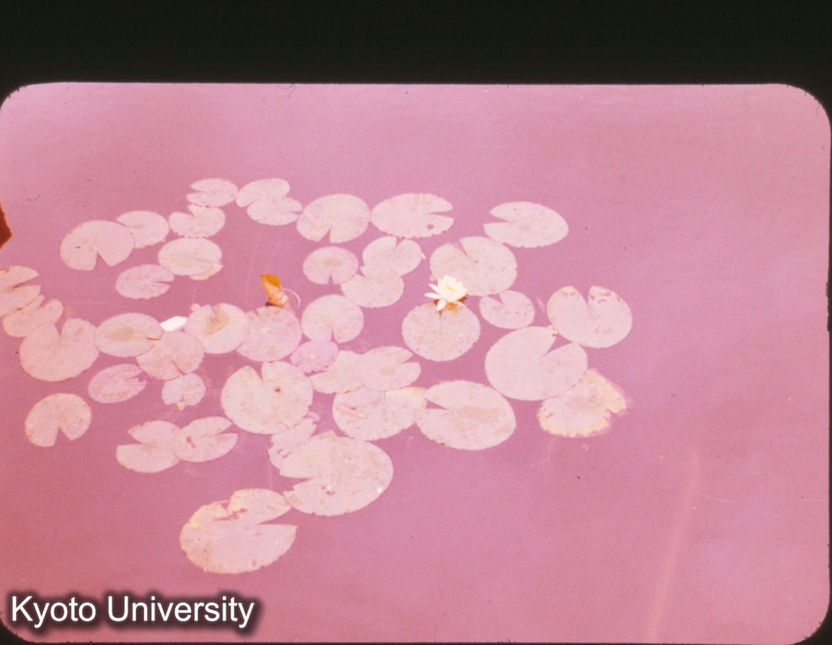 P176_杭州 西湖 (1)