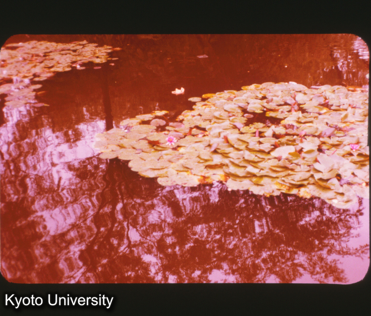 P177_杭州 西湖 (1)