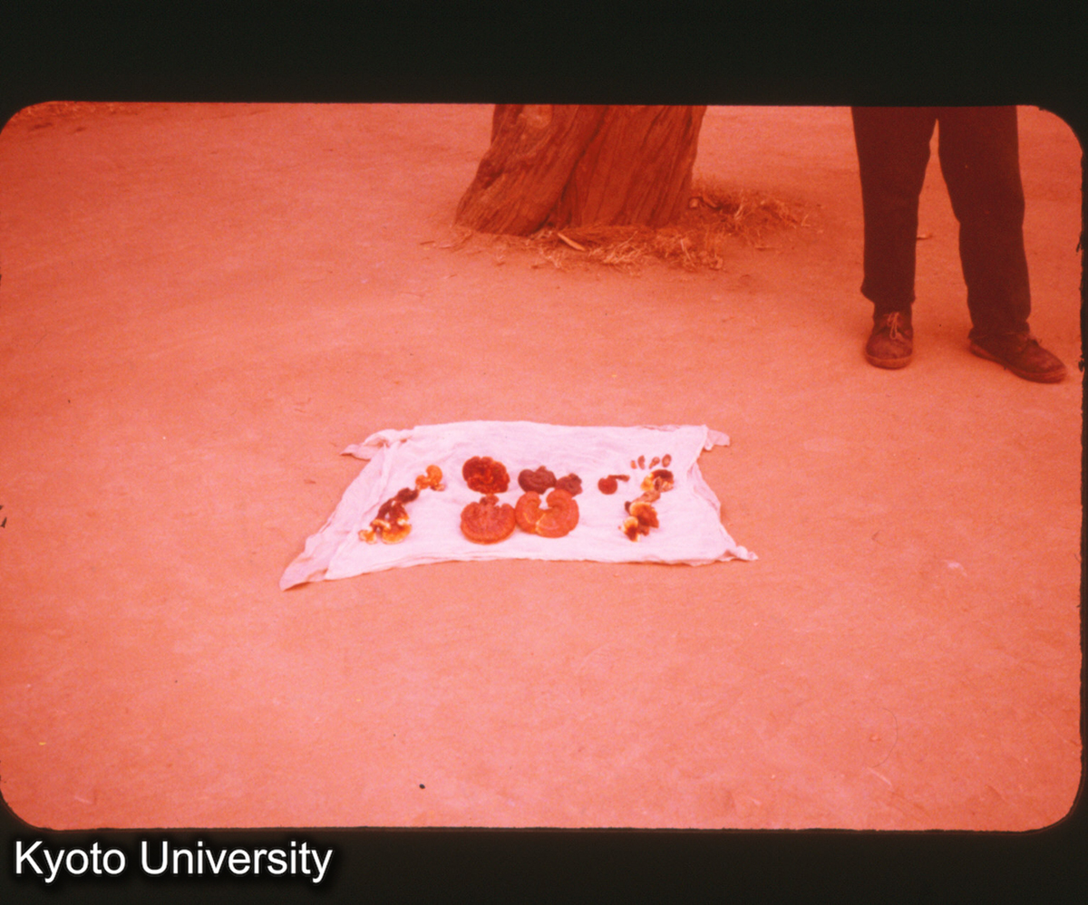 P232_漢薬 曲阜 (1)