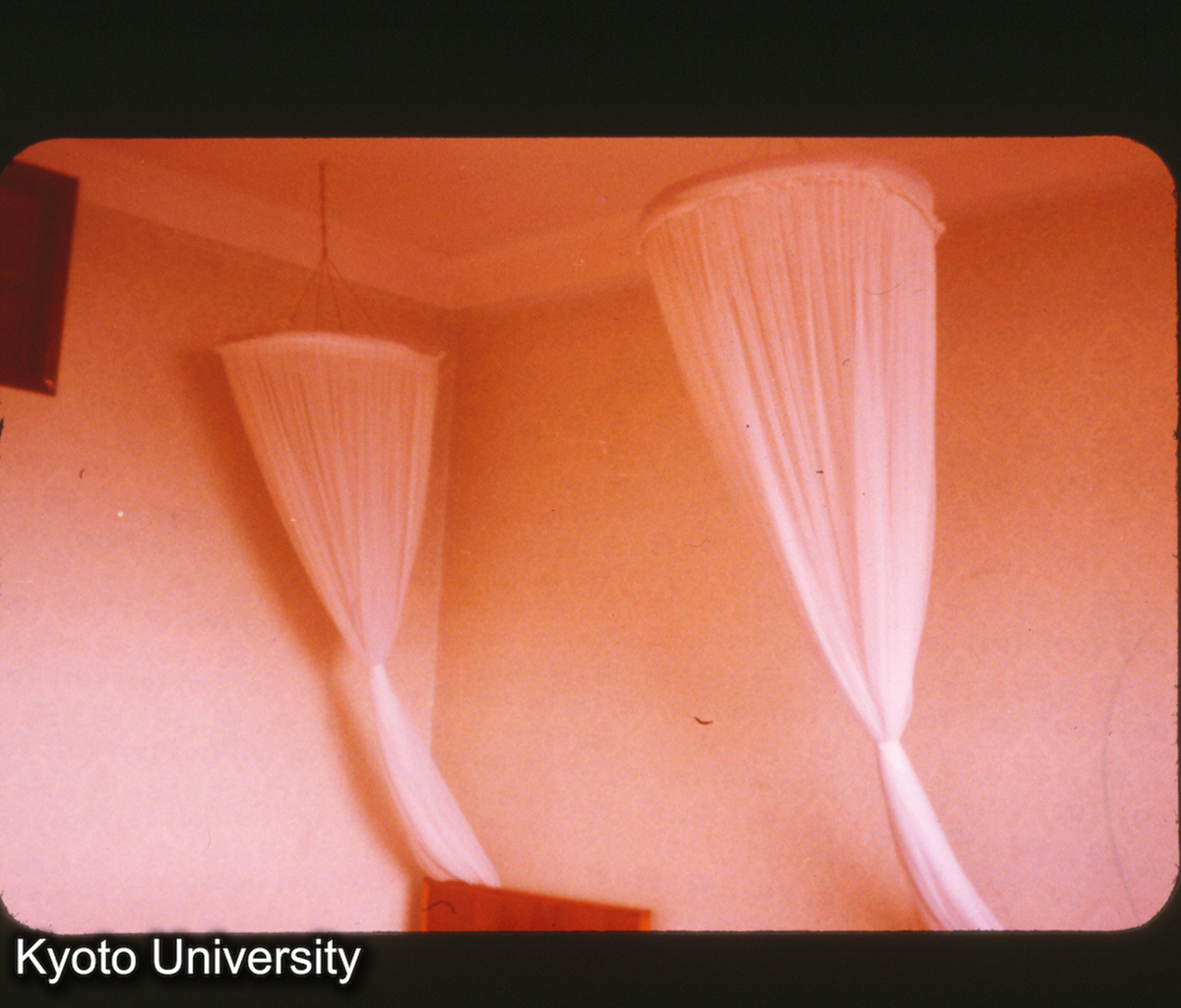 P235_福州 かや (1)