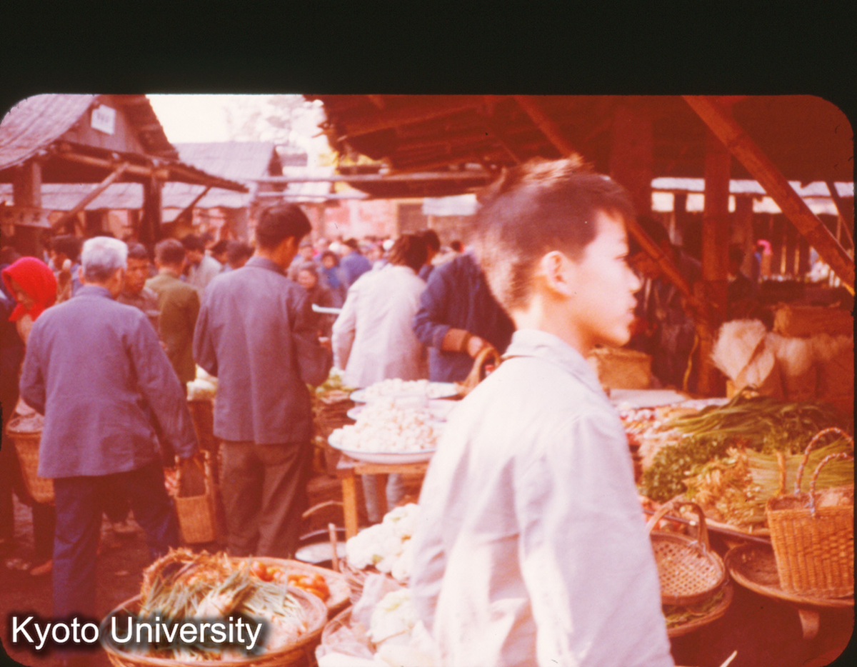 P240_やさい 泉州 (1)