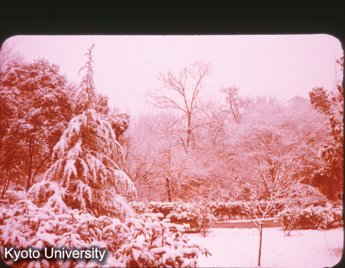 P267_南工 雪景色 (1)