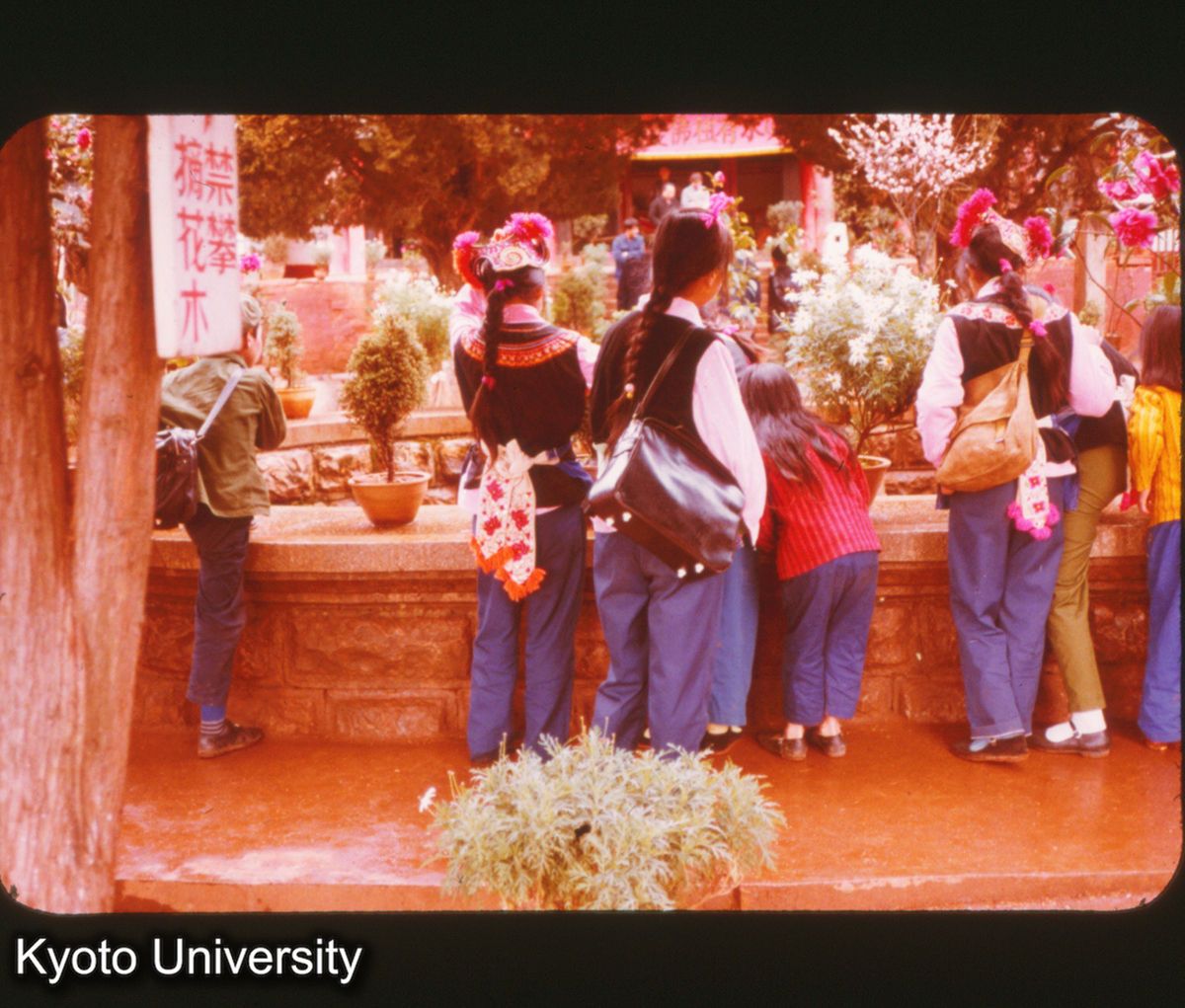 P278_イ族（サメ） 安寧 (1)