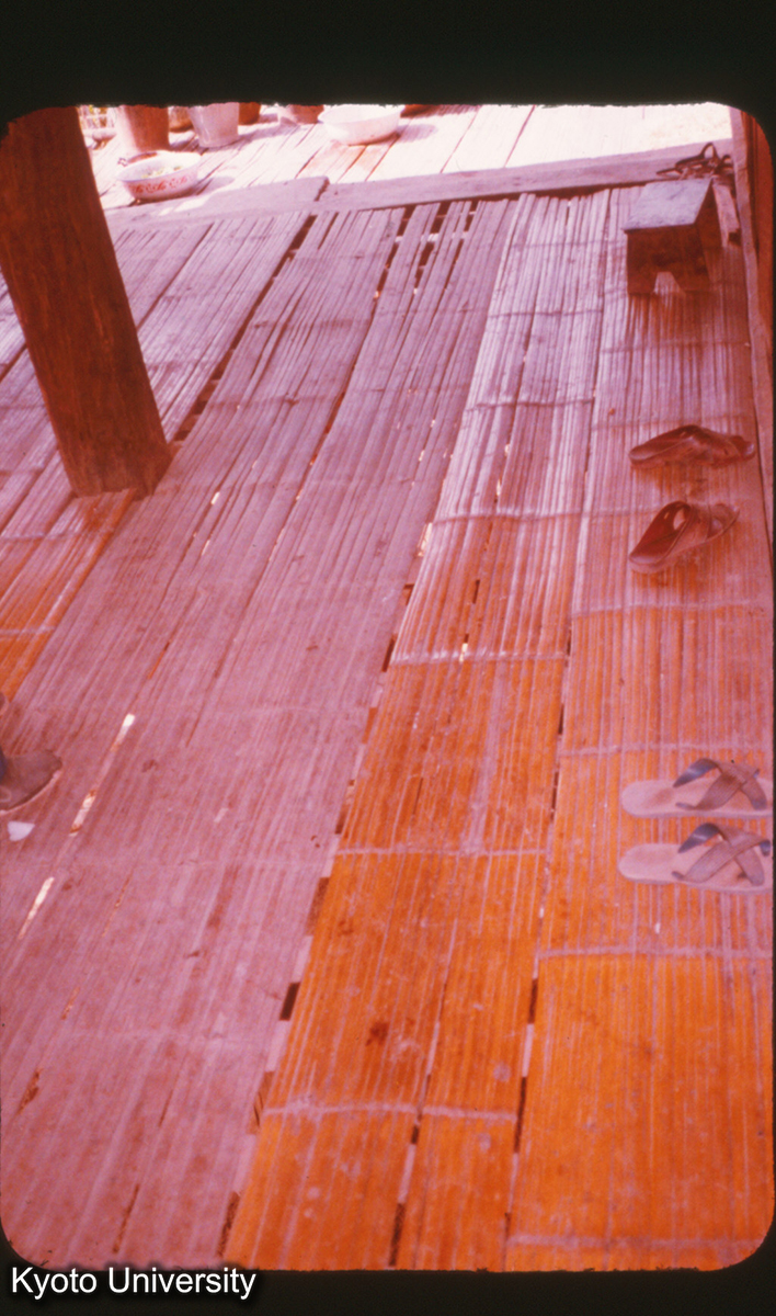 P296_景洪 タイ族 民居 竹割り床 (1)