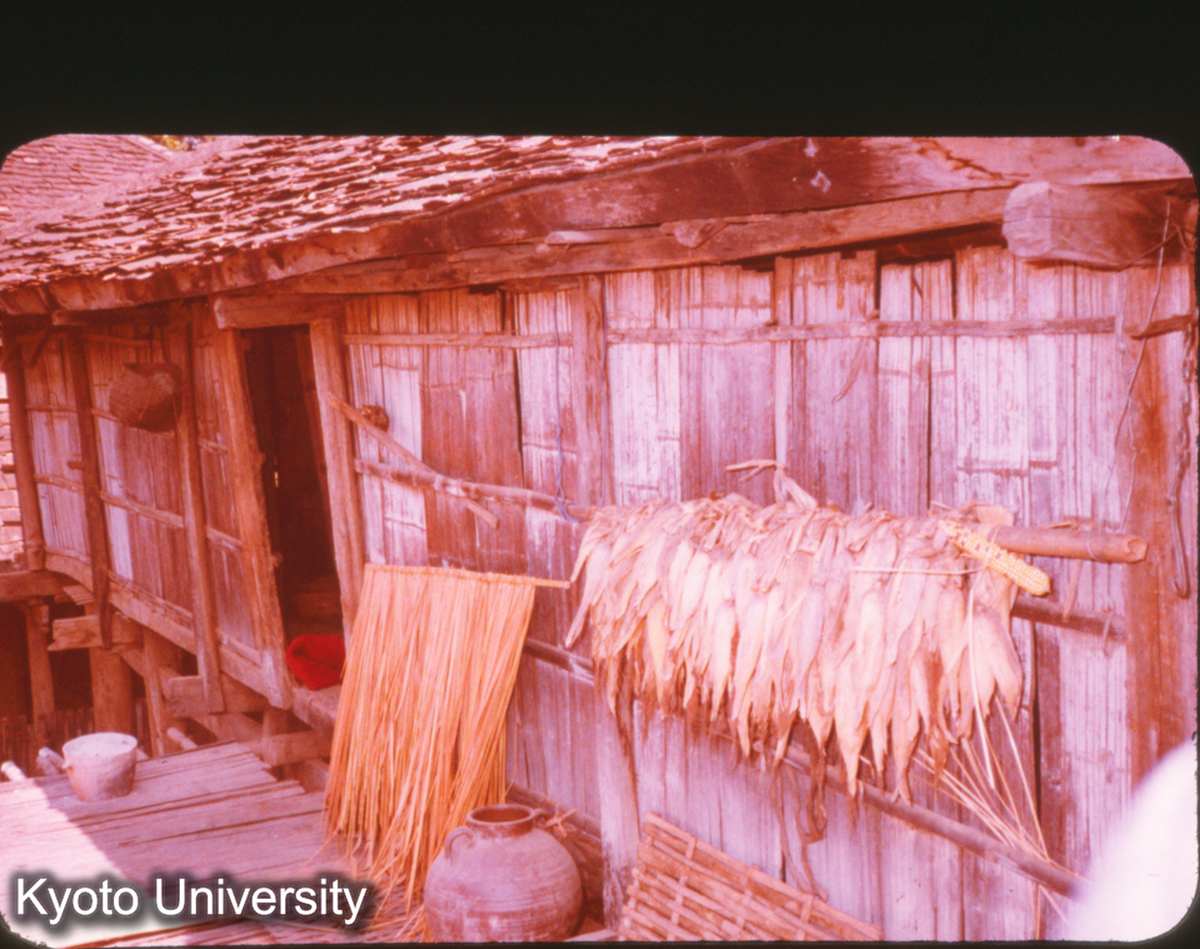 P300_景洪 タイ族 民居 干しテラス (1)