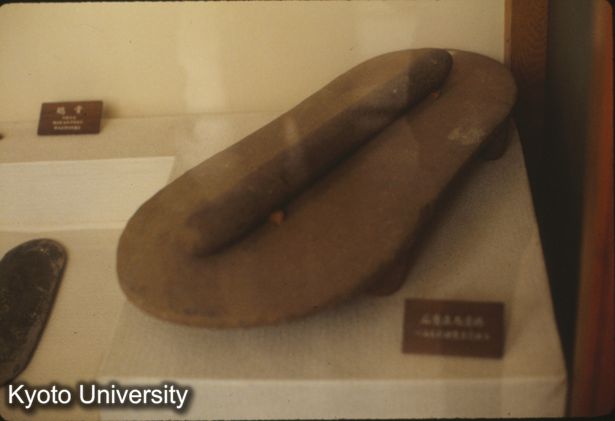 38_サドルカーン 歴博_× (1)