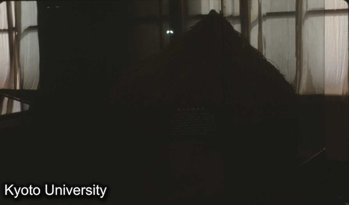 41_龍山文化房子（復原） 歴博 (1)