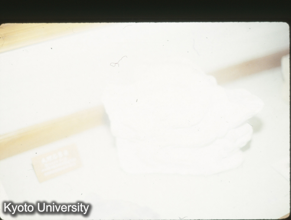 90_大理石獣頭 （唐長安大明宮含元殿）_× (1)