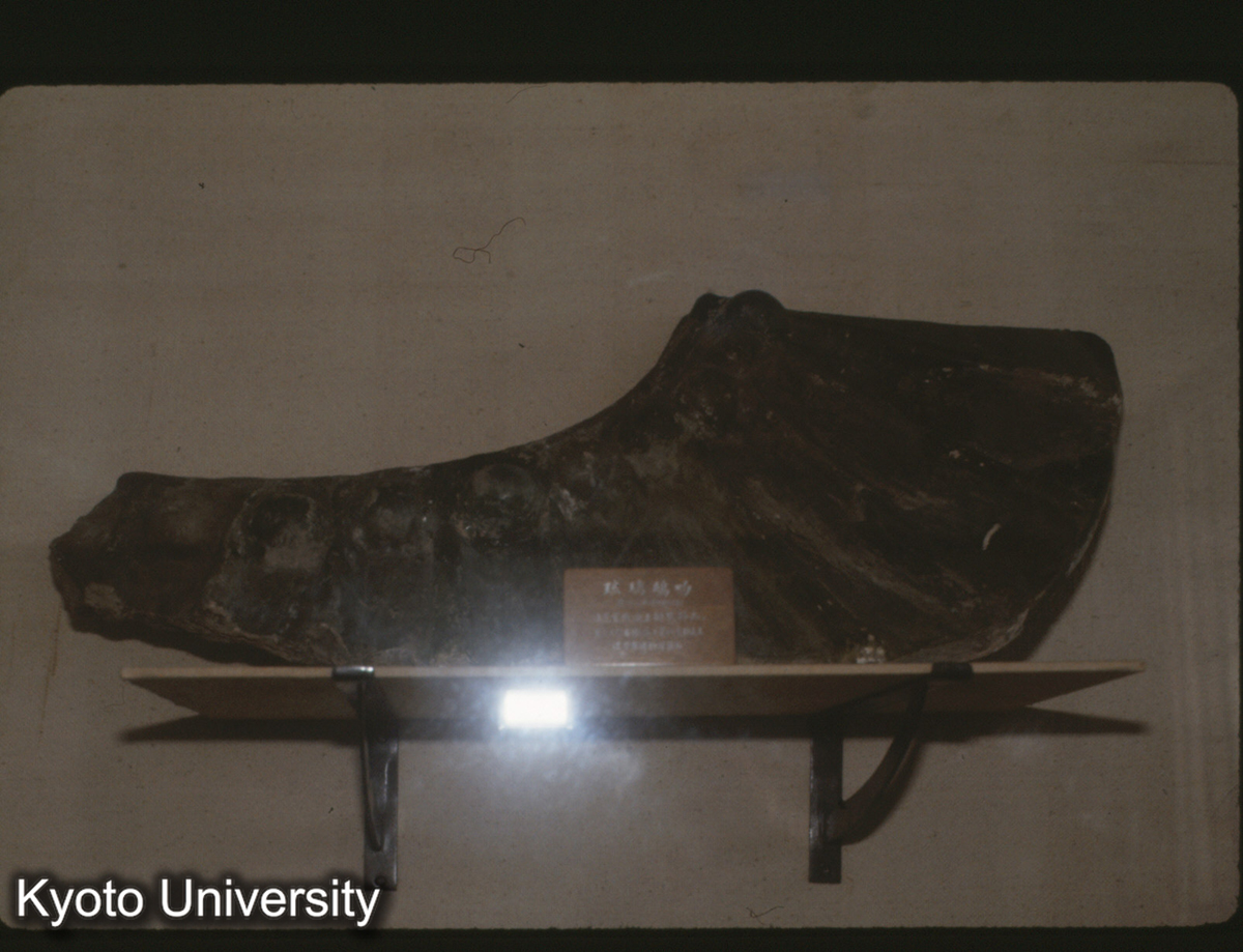 94_琉璃鴟吻 渤海国上京城址_▽ (1)