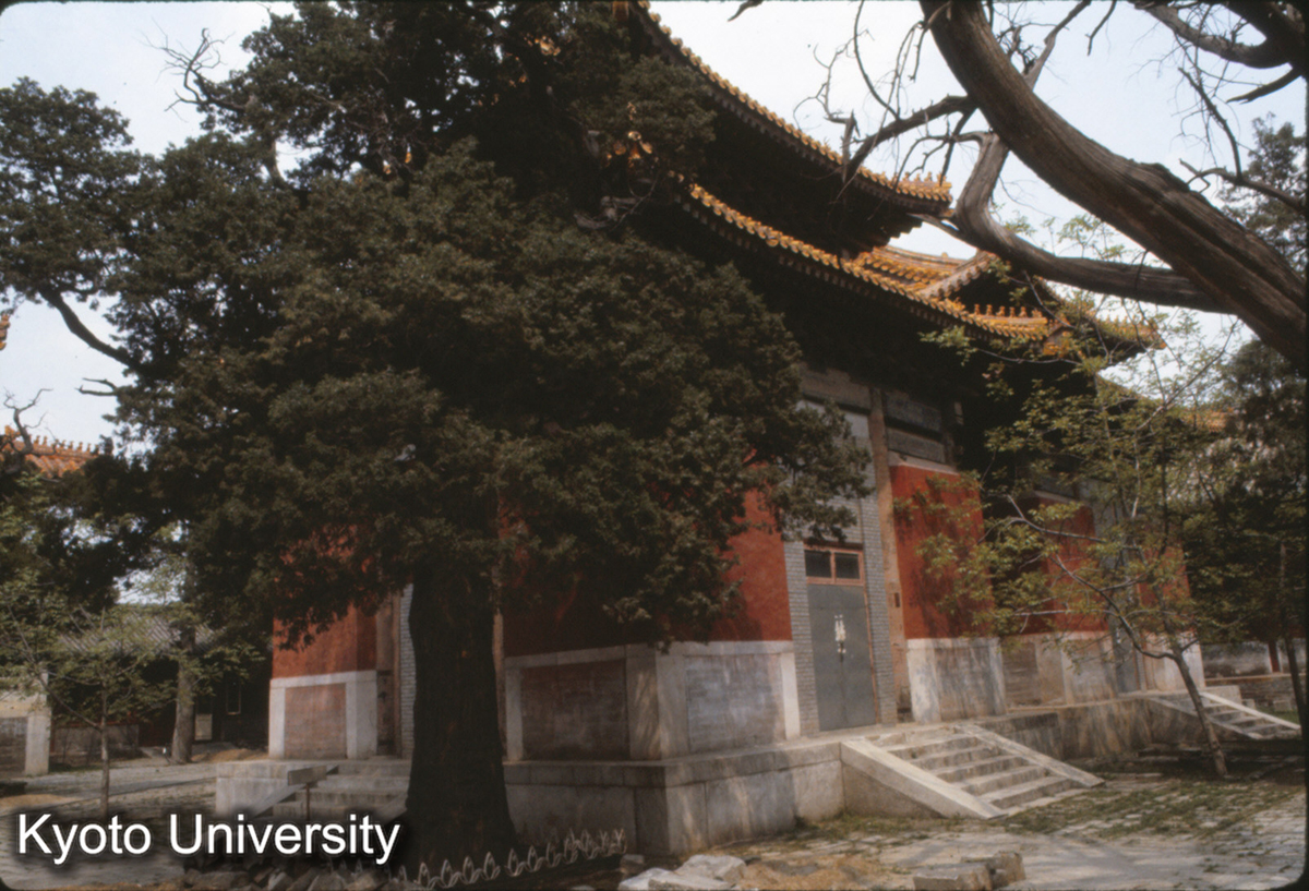 194_北京 孔廟 (1)