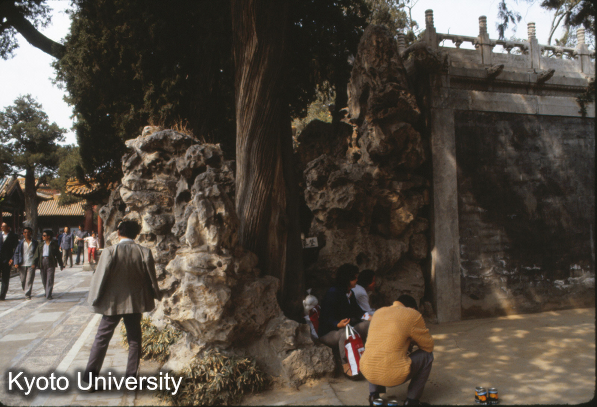 225_故宮 御花園 (1)