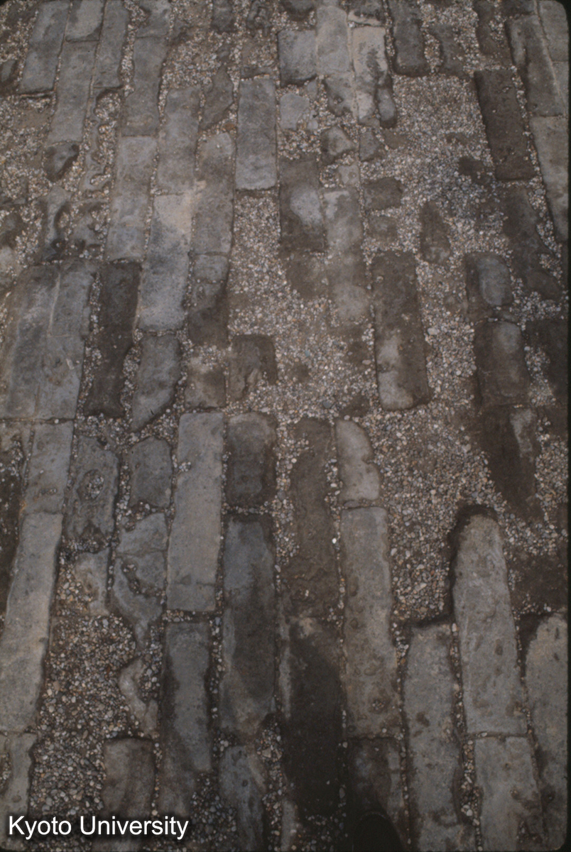 235_故宮 太和殿前院 '側砌' 磚 (1)