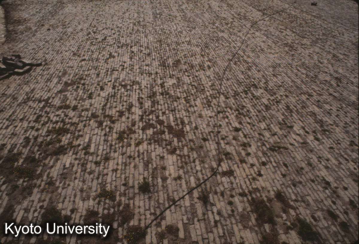 258_故宮 太和門前庭の鋪地磚 金水橋付近"側砌"_87 (1)