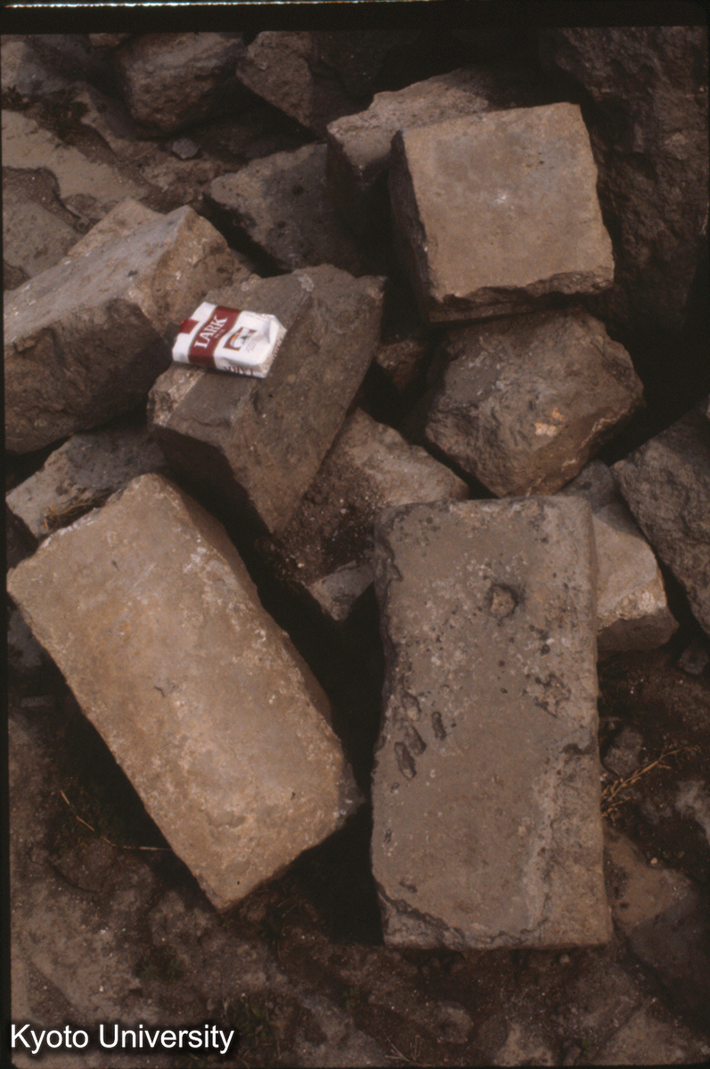 260_故宮 金水河付近の磚（改修工事中） 38.5×19×10.5cm_87 (1)