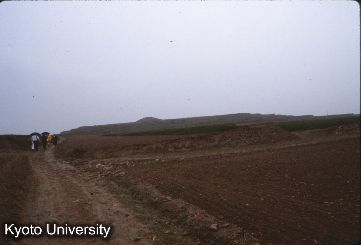 347_邯鄲 趙王陵 (1)