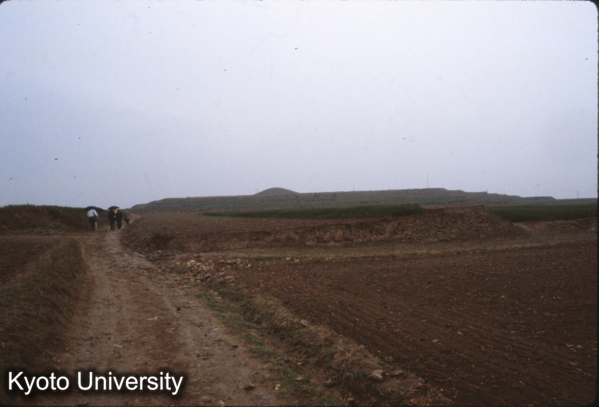 348_邯鄲 趙王陵 (1)