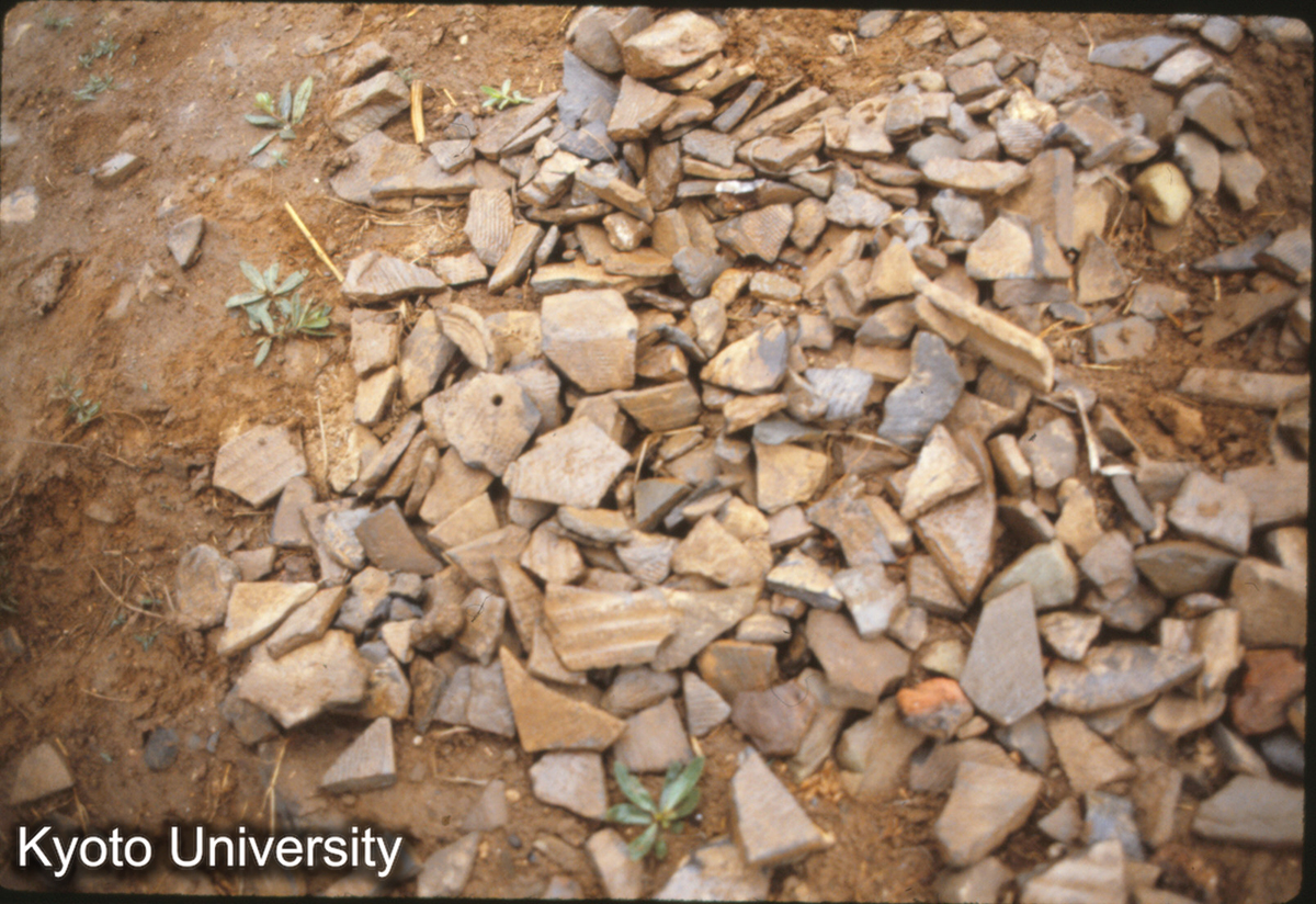 349_邯鄲 趙王陵 一号陵付近 瓦堆稜 (1)