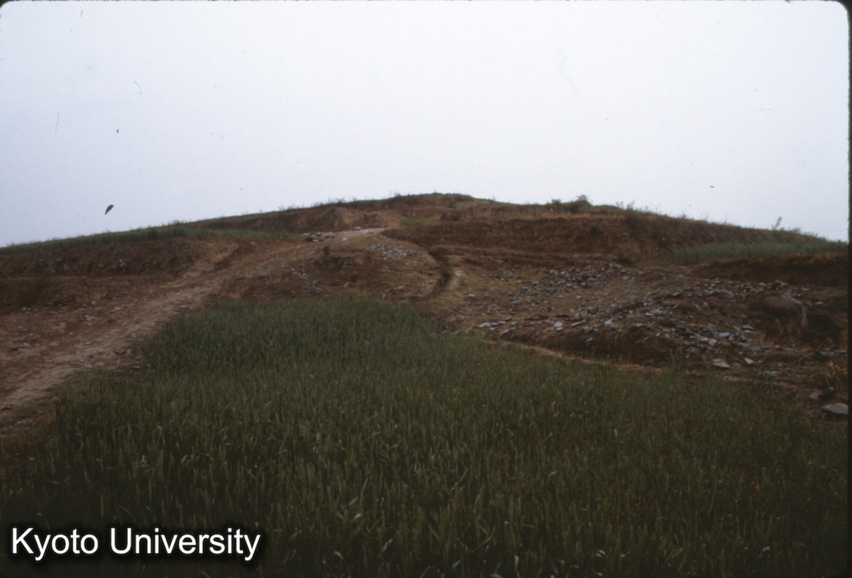 350_邯鄲 趙王陵 (1)