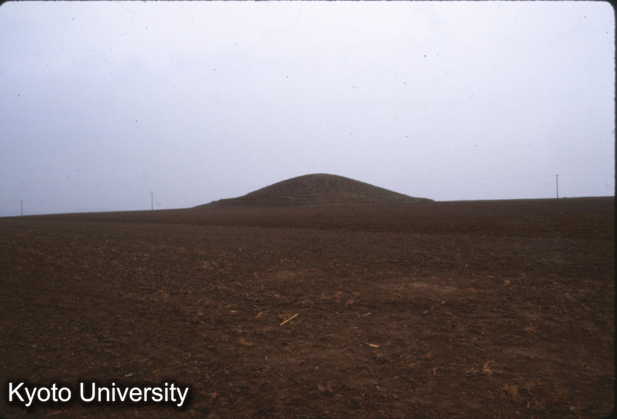 352_邯鄲 趙王陵 三陵台 (1)