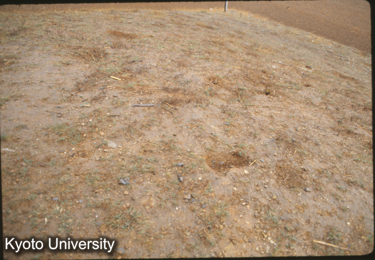 357_趙王陵 一号陵 (1)