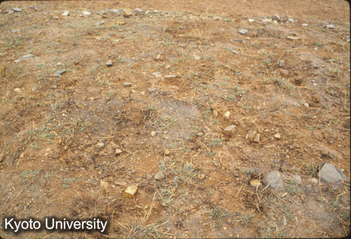 361_趙王陵 一号陵台上 (1)