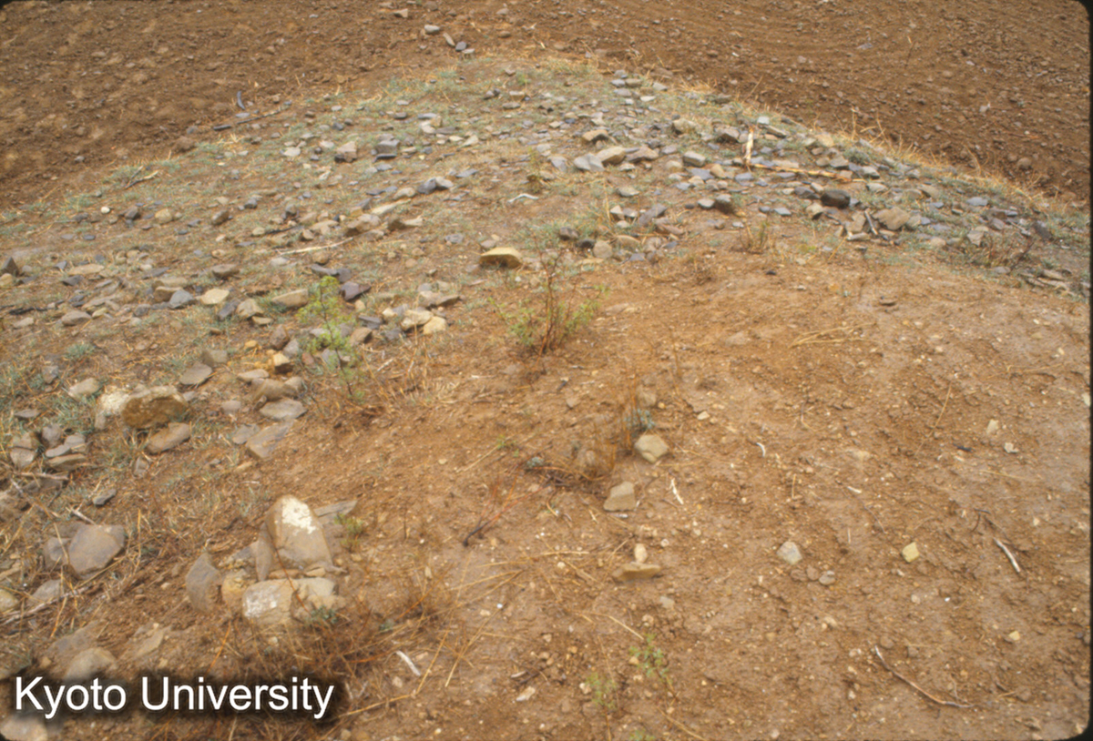 362_趙王陵 一号陵台上より下層を俯観 (1)