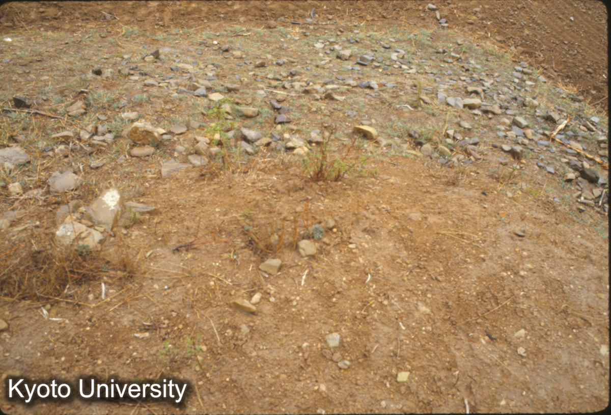 363_趙王陵 一号陵台上より下層を俯観 (1)