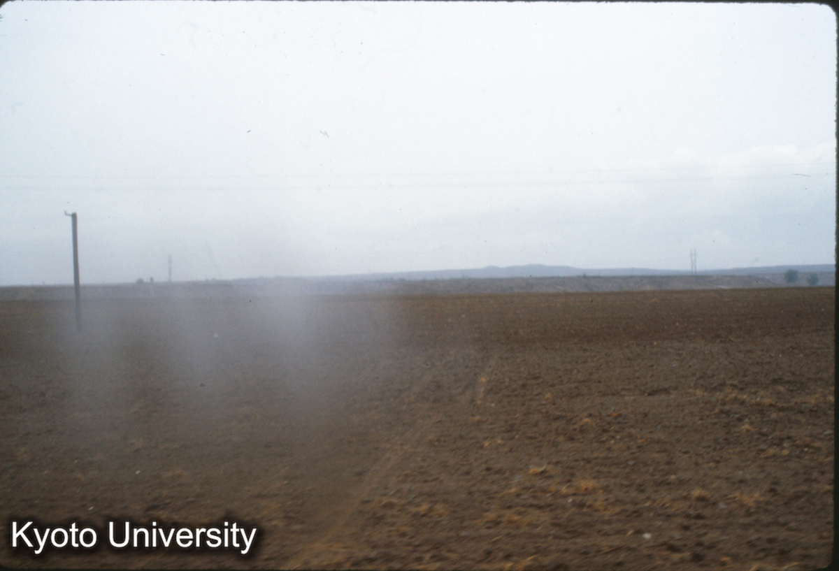 364_趙王陵 三陵台遠望 (1)