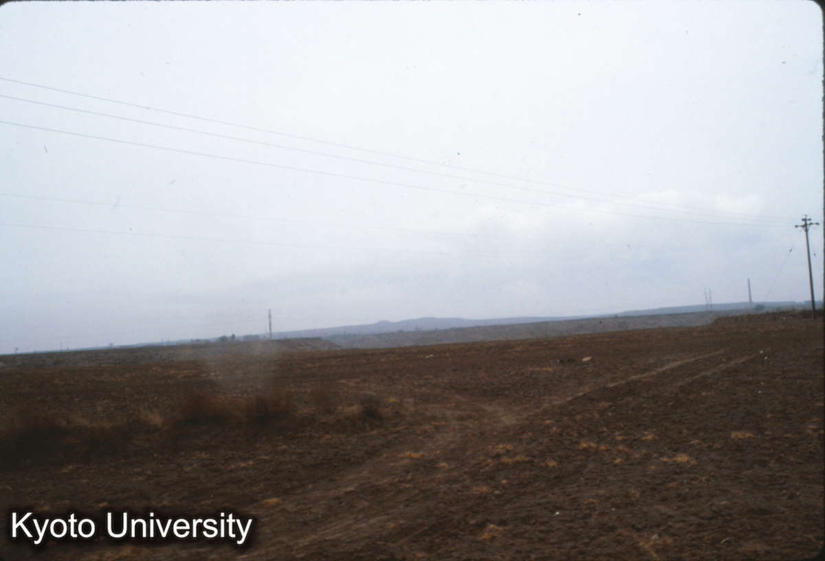 365_趙王陵 三陵台遠望 (1)