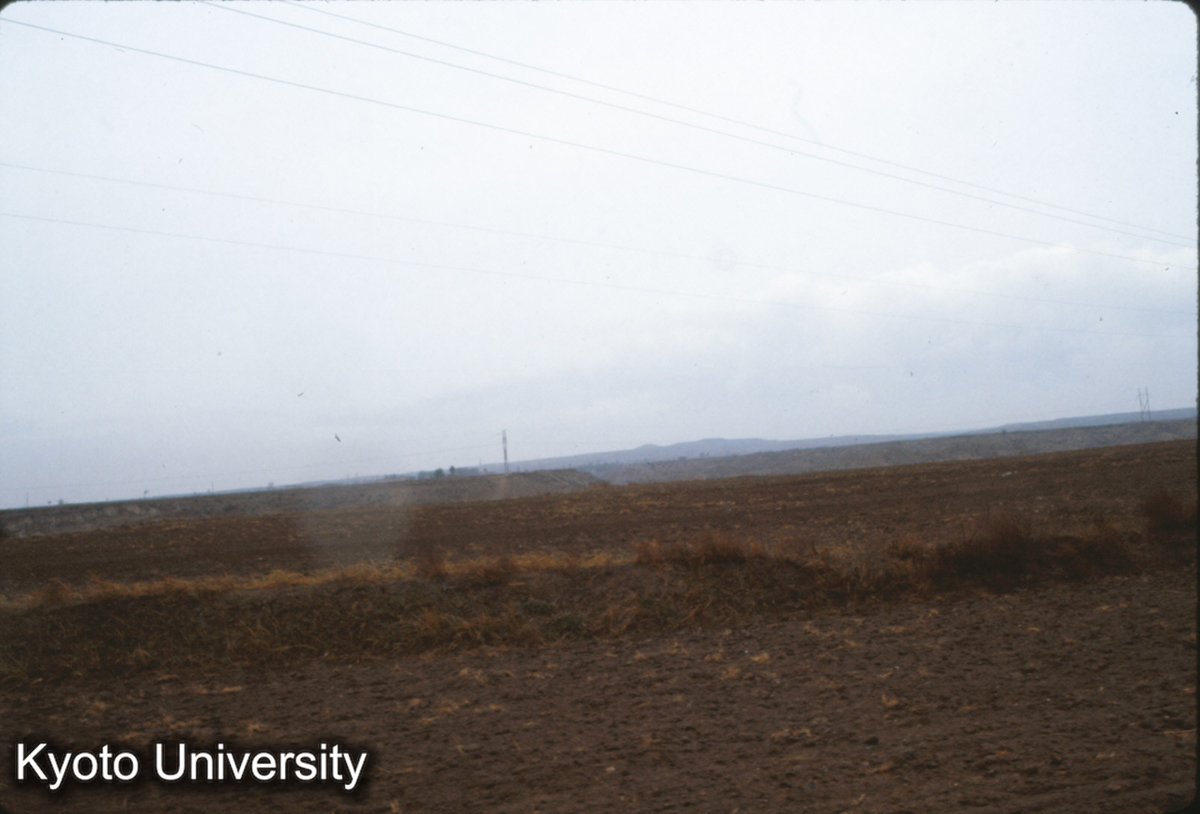 366_趙王陵 三陵台 (1)