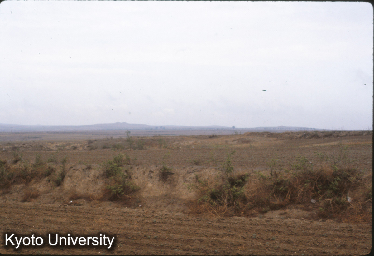 371_趙王陵 二陵台・一陵台 (1)