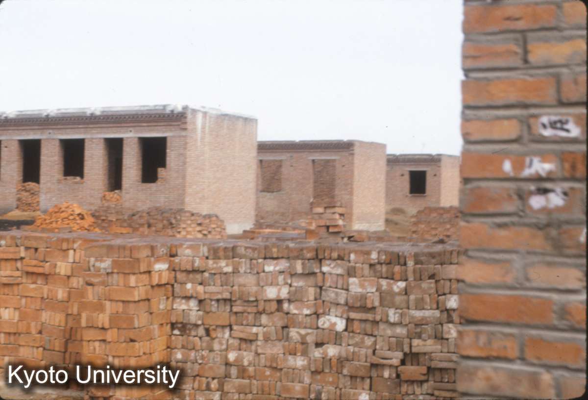 373_邯鄲市郊 磚造房子 (1)