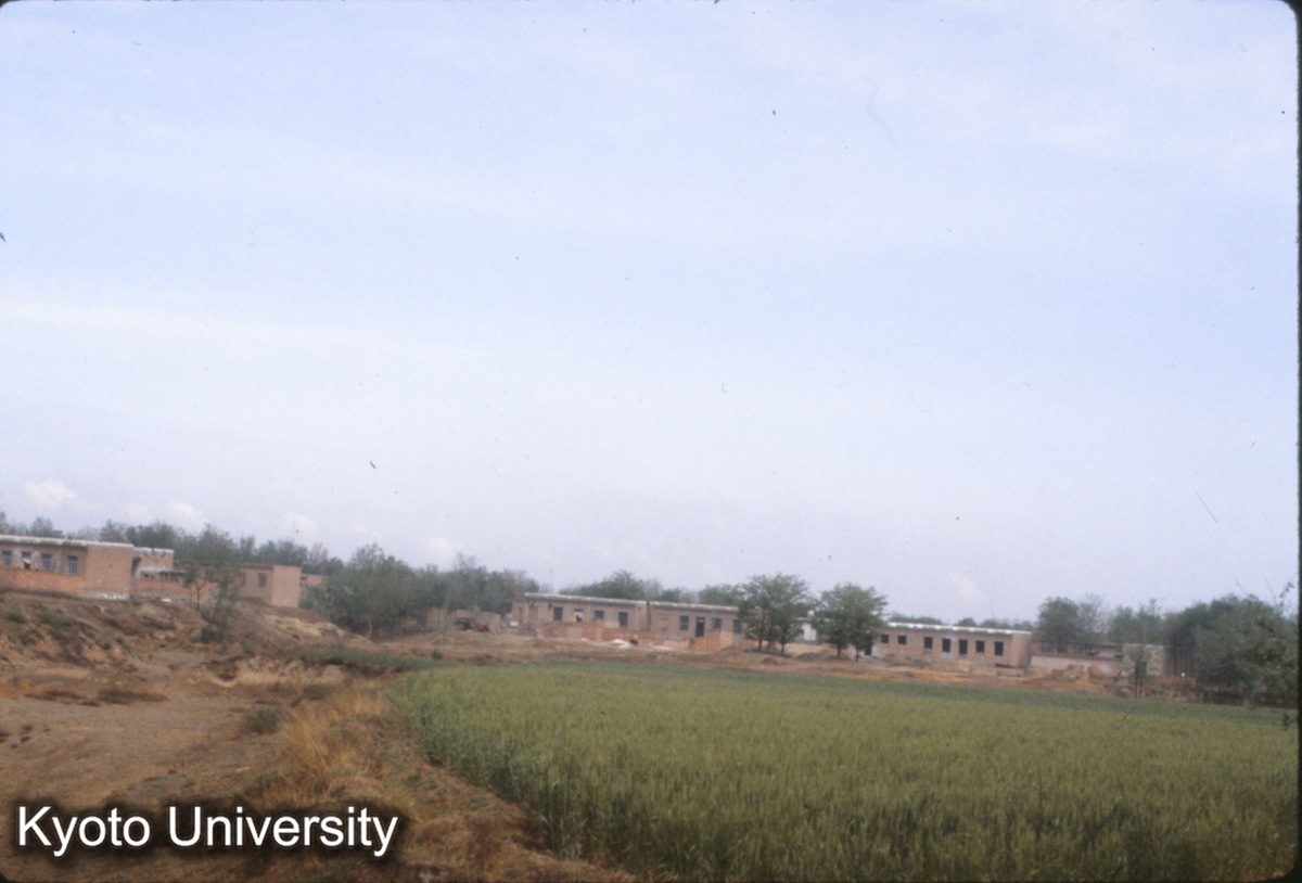 374_邯鄲市郊 磚構平頂住宅 (1)