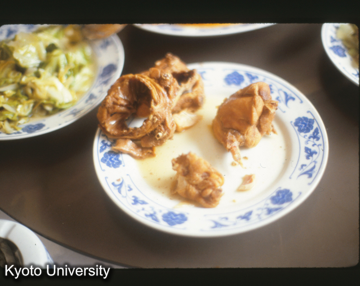 377_邯鄲 午餐 兎 (1)