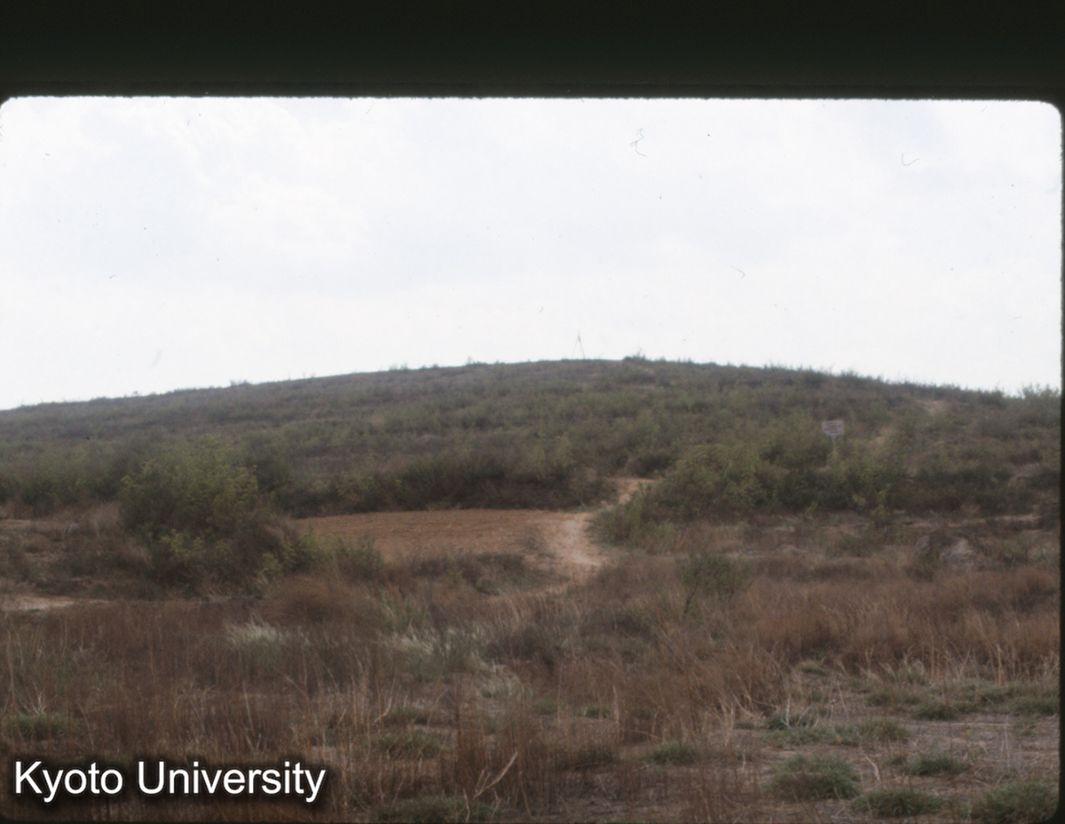 385_邯鄲 趙王城 龍台 (1)