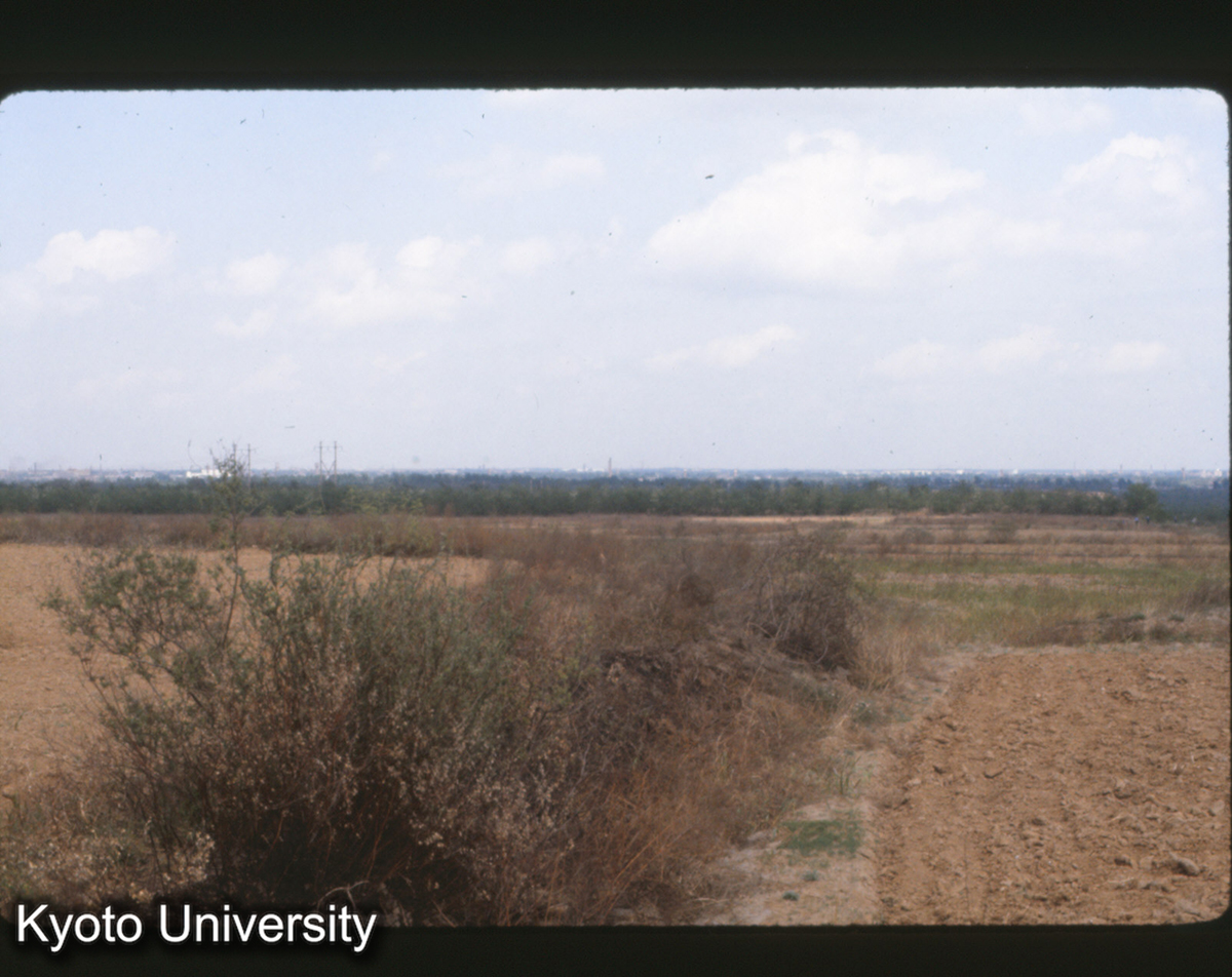 387_趙王城 龍台 (1)