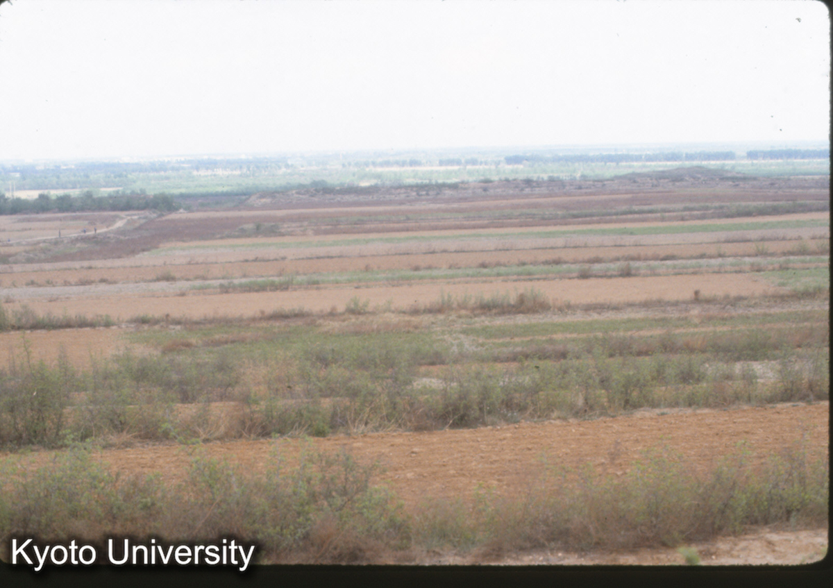 391_趙王城 西城龍台上より (1)