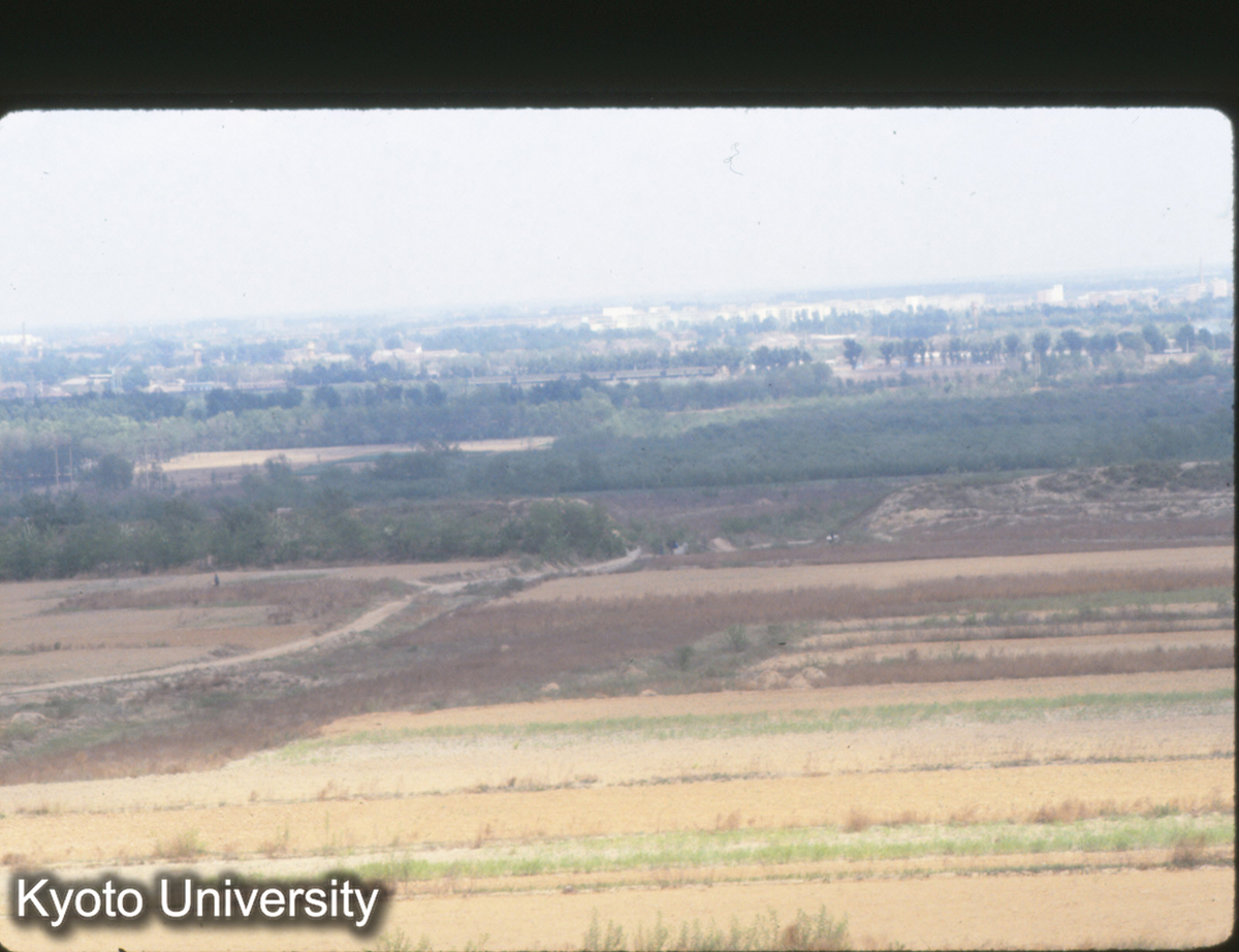 397_趙王城 西城龍台より 城墻 (1)