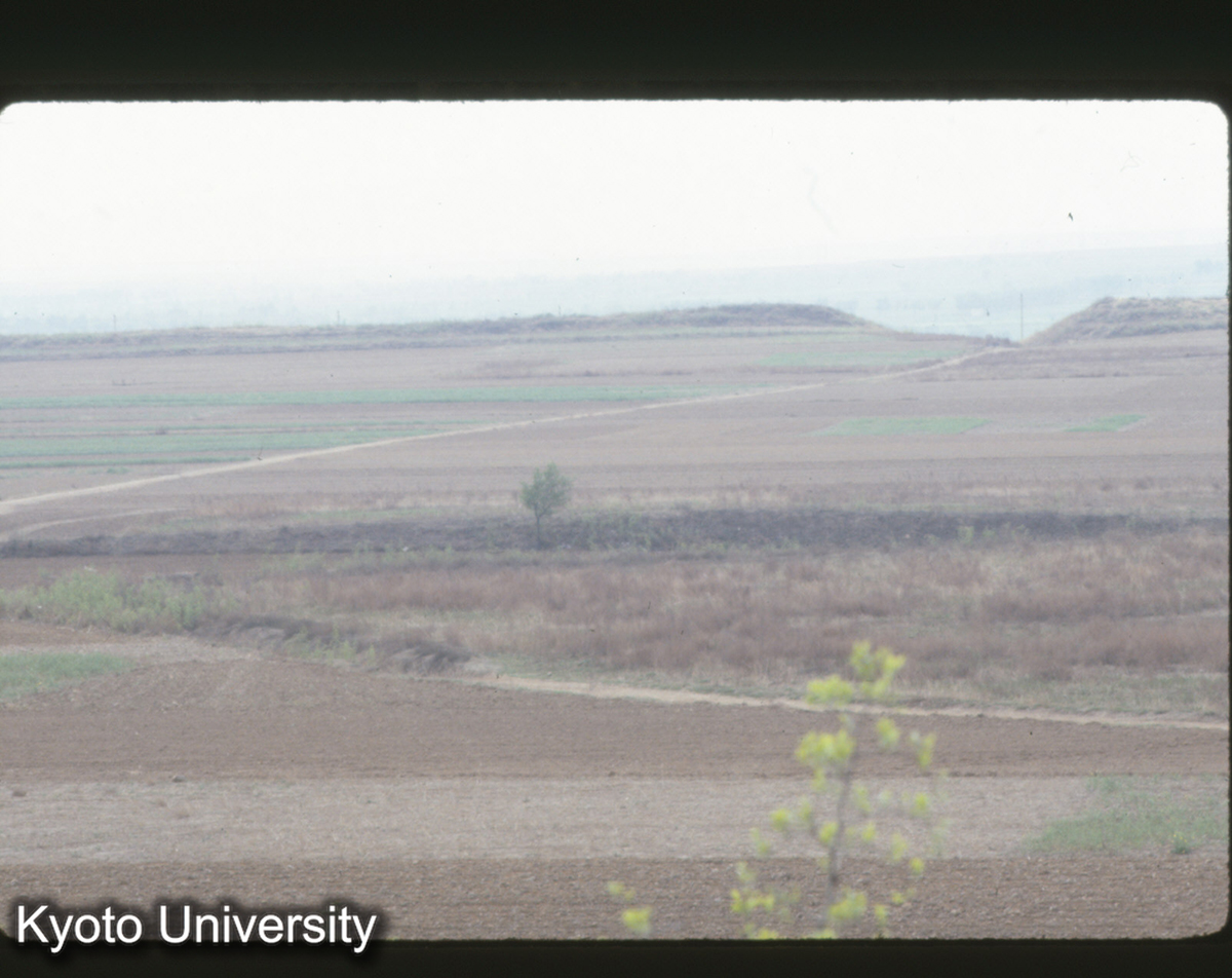 398_趙王城 西城龍台より 城墻 (1)